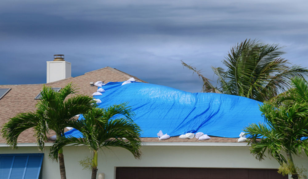 Roof Damage Tarped